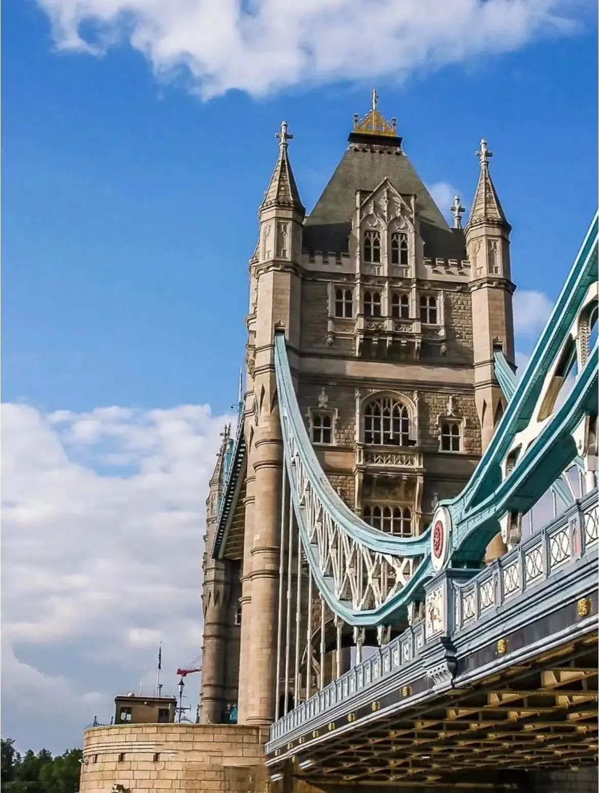 1701307846995876.jpg 7.jpg